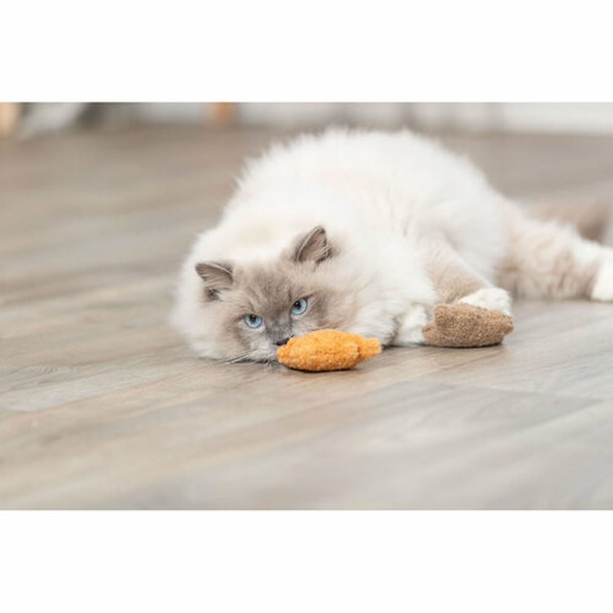 žaislas katėms Trixie